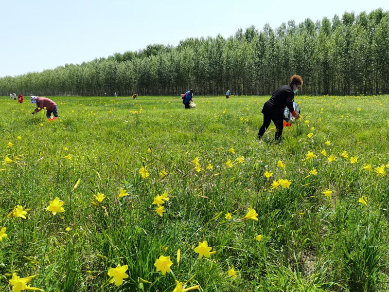 1654936402214417.jpg 9.jpg